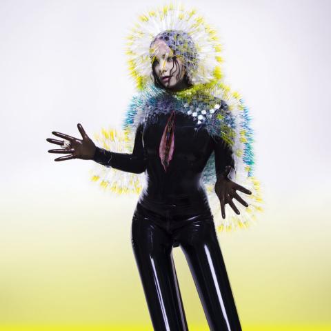 Bjork - Atom Dance