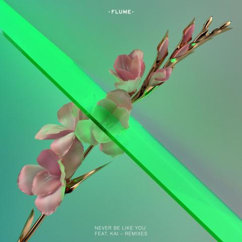 Flume - Never Be Like You