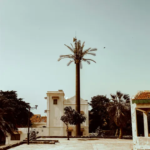 Dakar © Yannaty Kouyaté / Unsplash